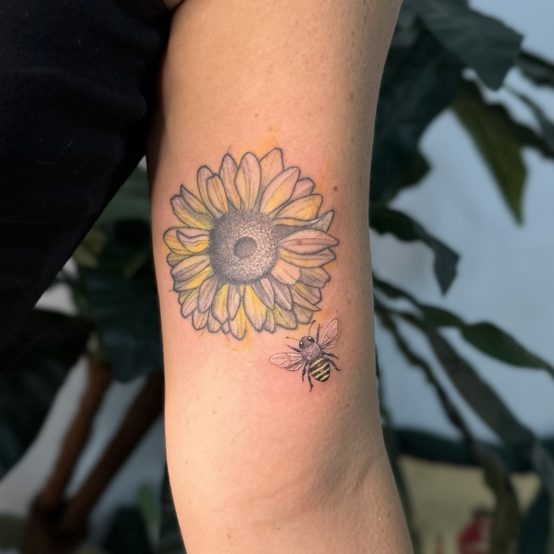 Tatuagem floral delicada de girassóis por Ricardo Marinho