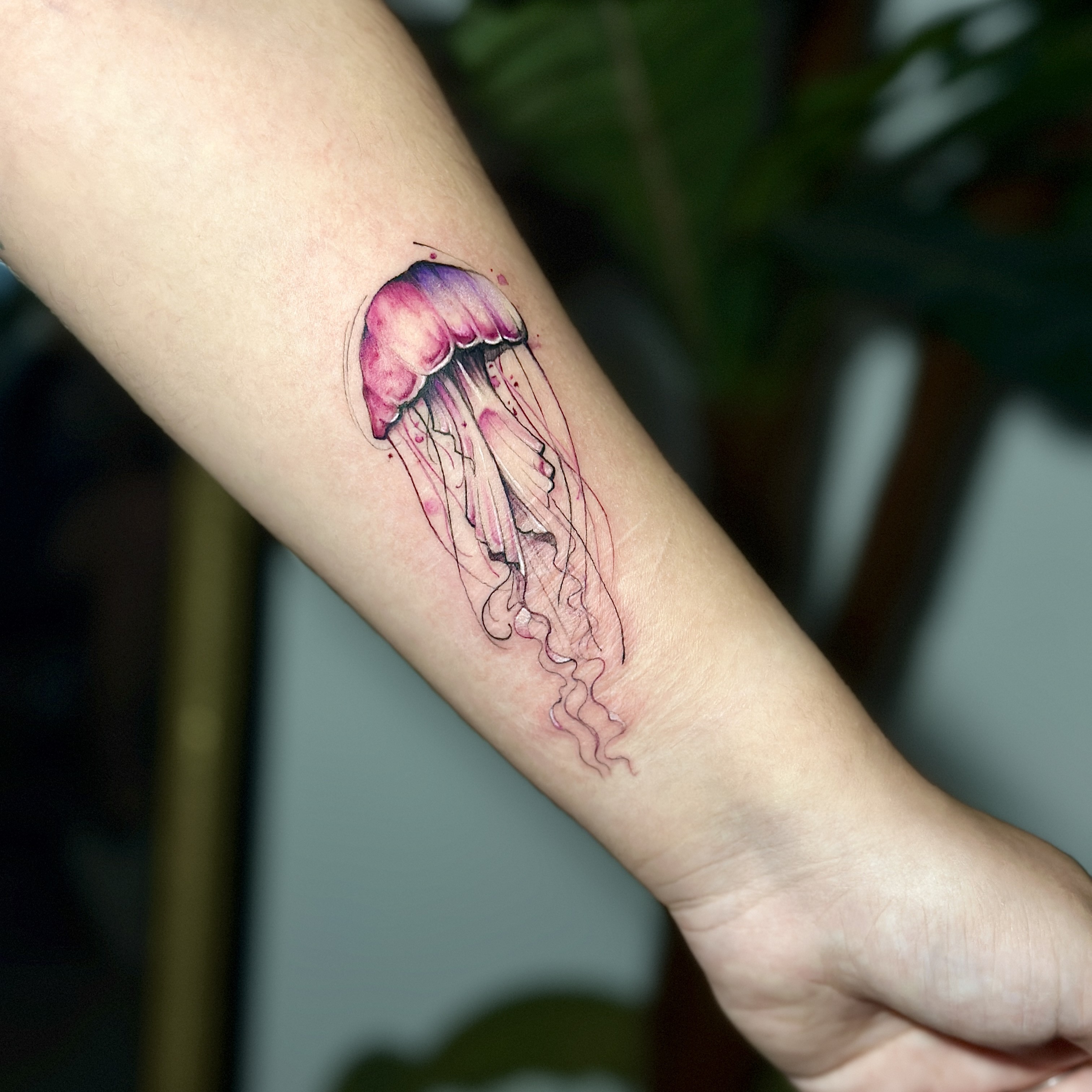 Tatuagem de água-viva em aquarela por Ricardo Marinho