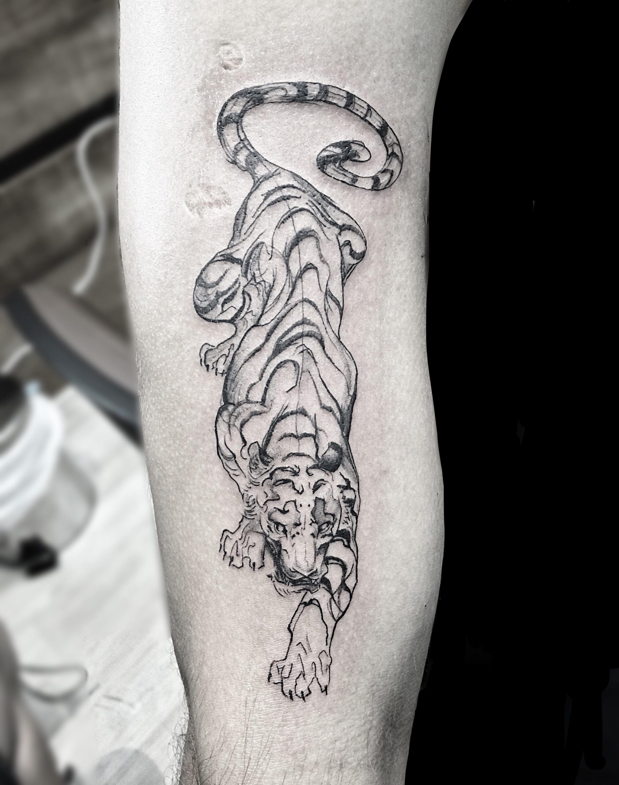 Tatuagem fineline de tigre com composição ornamental criada por Ricardo Marinho